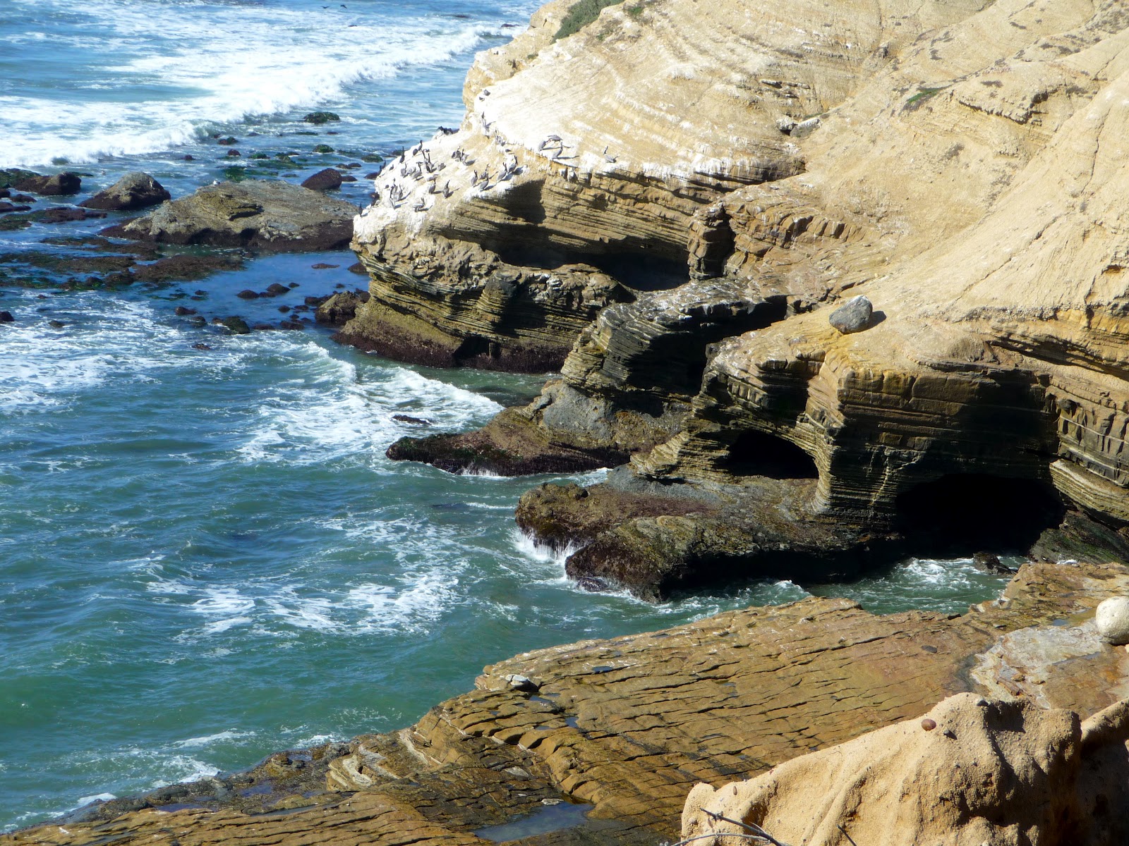 exploring-san-diego-sunset-cliffs-point-loma