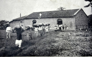 Engenho de beneficiamento de arroz, em 1933. Engenho de beneficiamento de arroz, em 1933.
