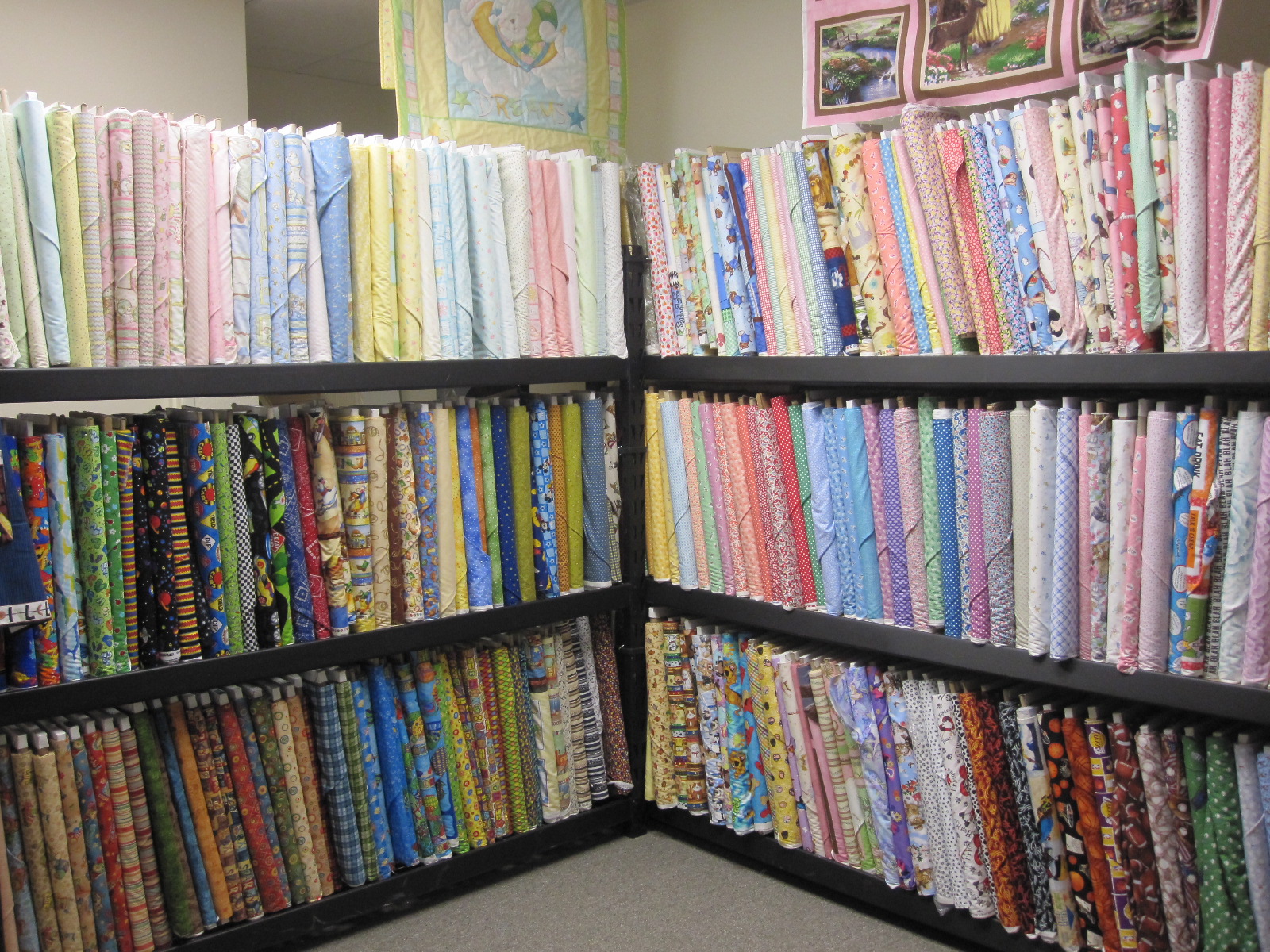 Paula Reid Machine Quilter TLC Quilters at The Sew N Sew