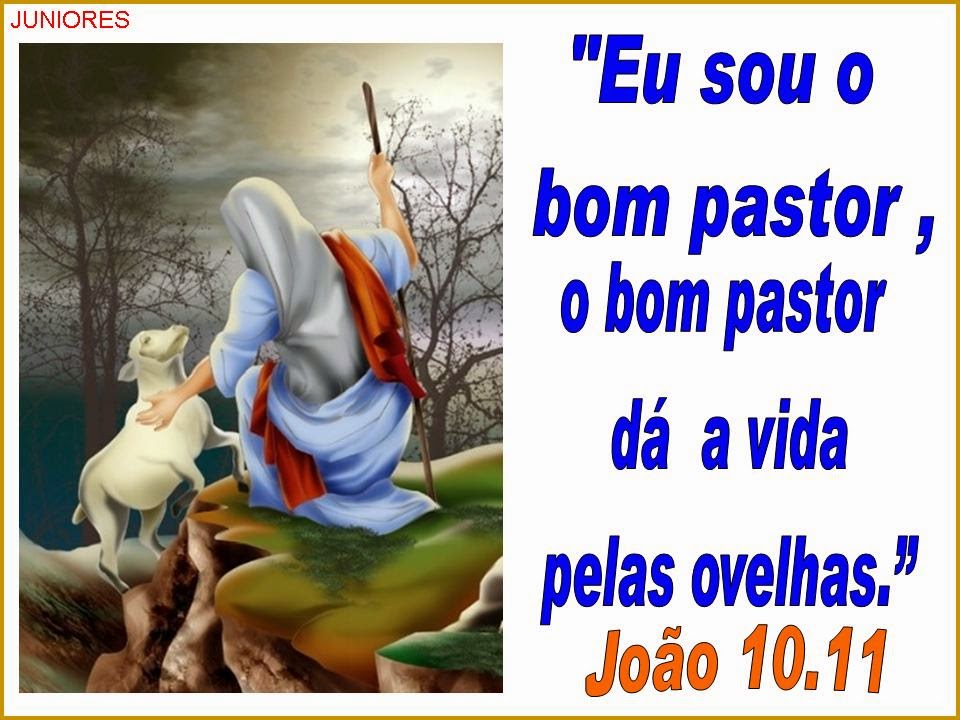 Mensageiro Kid Juniores Lição 12 Jesus ensina sobre o Bom Pastor