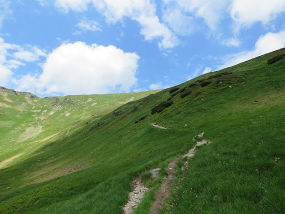 Halne zbocze zbocze