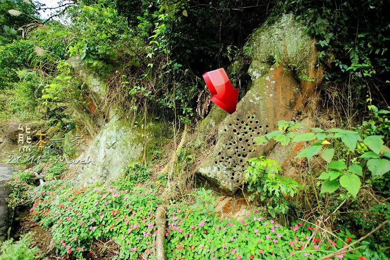 五寮尖|三峽小百岳|五寮尖和石碇鄉的皇帝殿齊名|玉觀音蓮花寺、福德宮、濟玄堂及玉里商店都是五寮尖的登山口