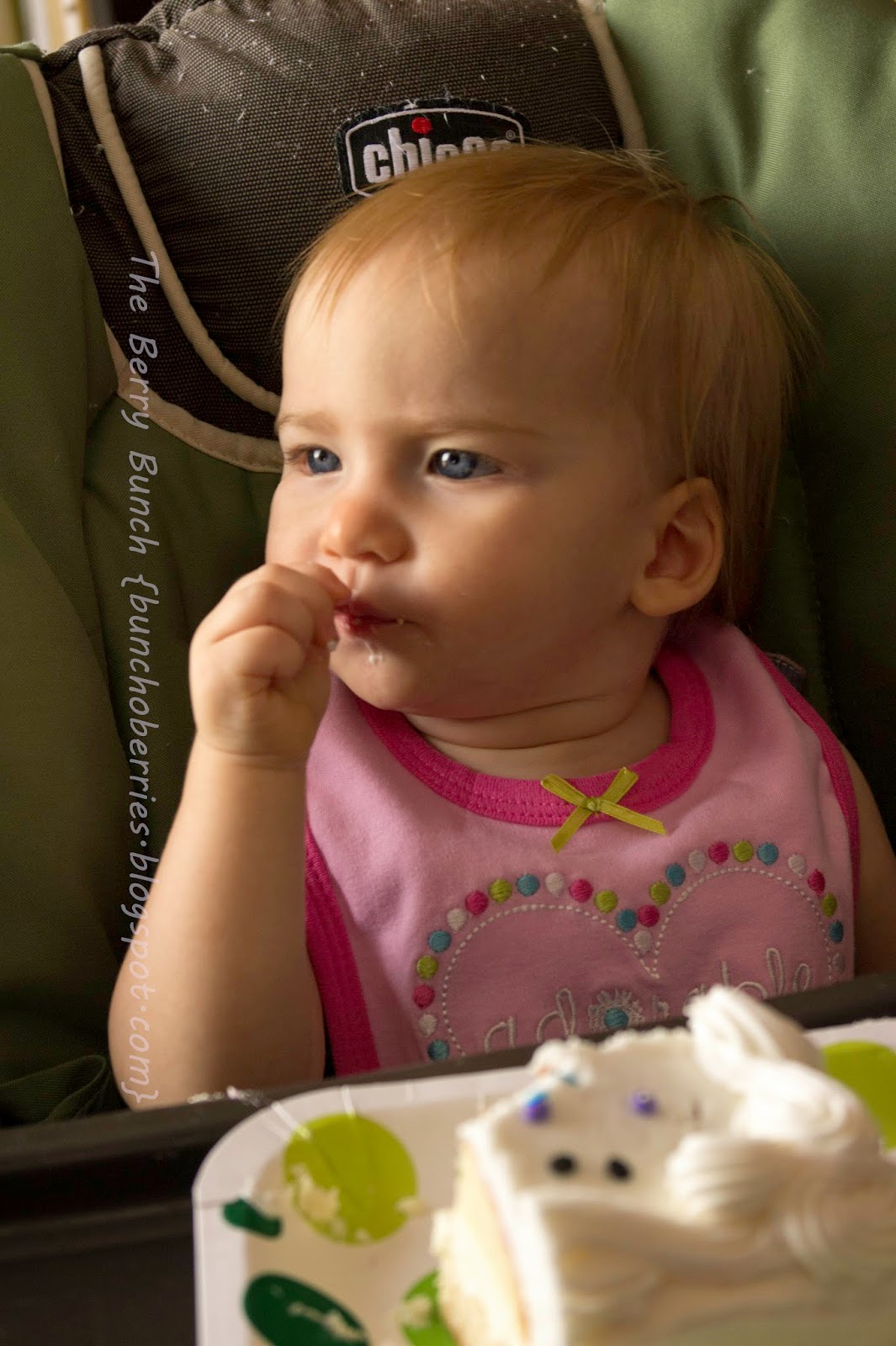 The Berry Bunch: Baby Girl is 1! {Happy Birthday!}
