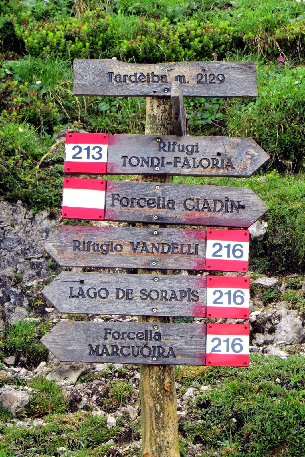 escursione al rifugio capanna tondi faloria