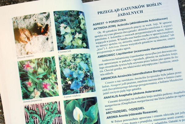 Przykładowa strona z fotografiami roślin