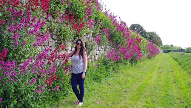 Isle of Wight England