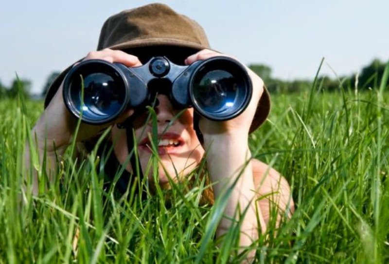 Pop Culture Shock What To Look For When Buying Binoculars