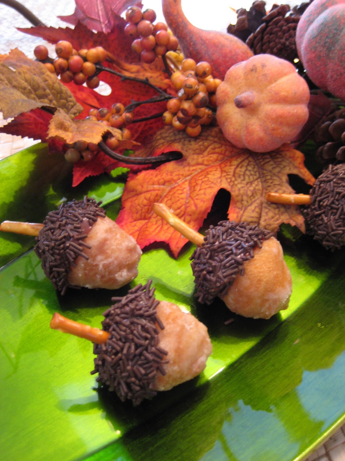 Life's Journey: Edible Acorns