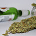 Alerta aos pais: ''A porta de entrada para as drogas é o álcool, não a maconha'' Revela novo estudo