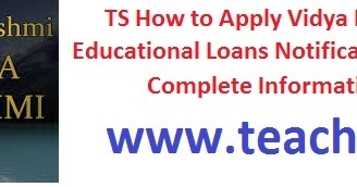 Online scholarship applications no essay
