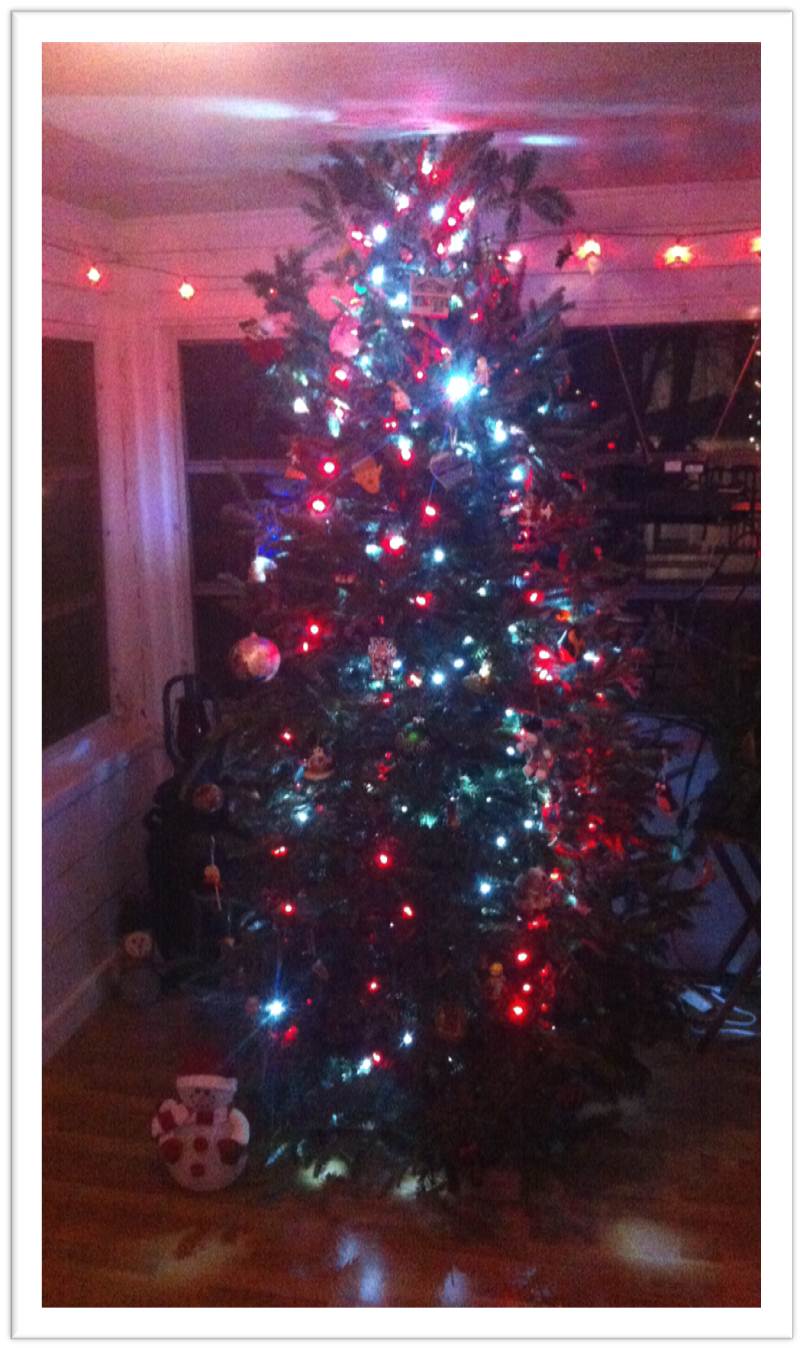 18 Preston It’s Christmas Time at 18 Preston!