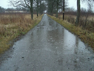 CIMG3174 - Blöt promenad för mig