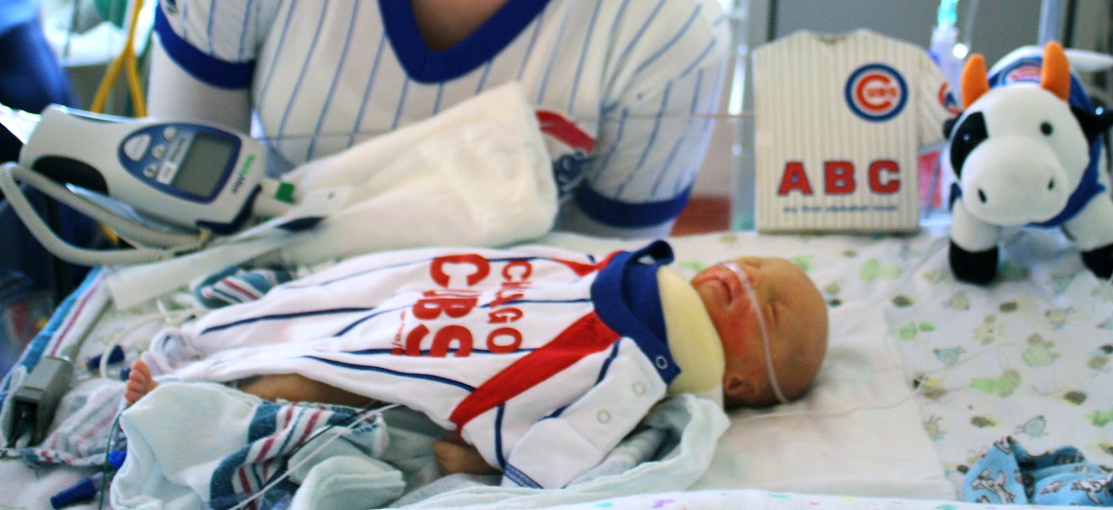 Our Family in a Snapshot MTV Cribs NICU Edition