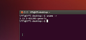 Kernel Linux 3.13.5 in Ubuntu 