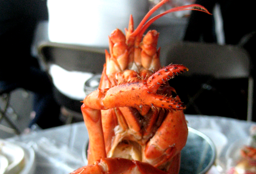 Carotte & Lychee Recette Fumet de homard