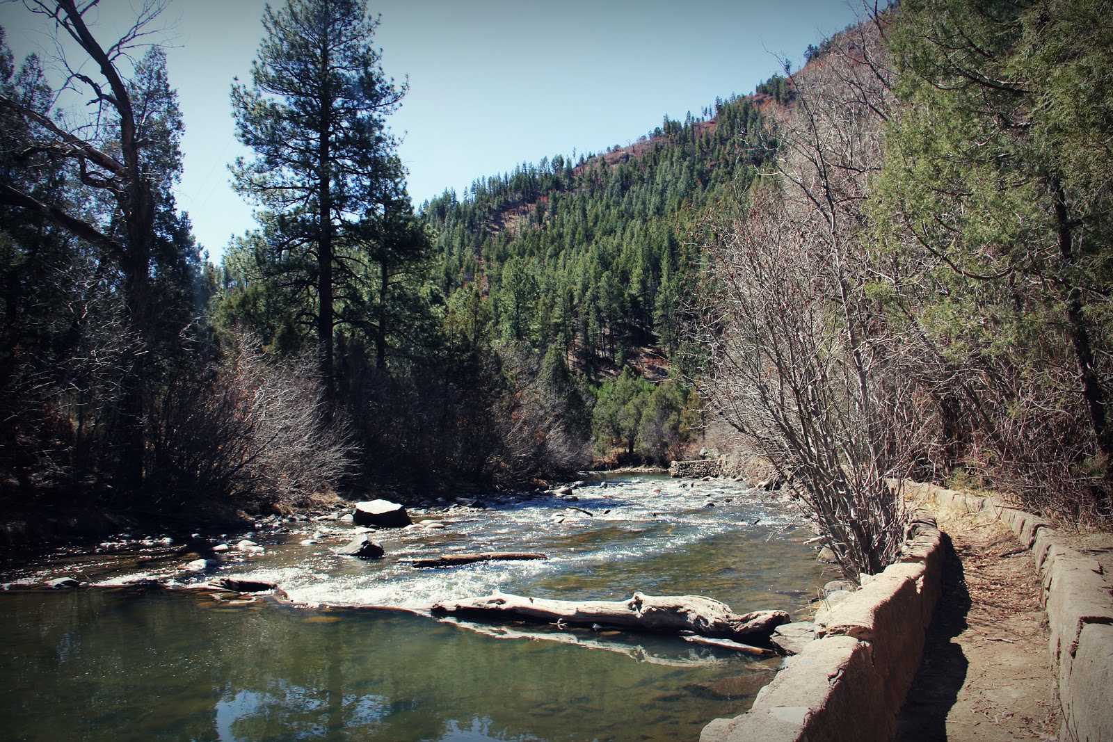 Olivia Ann Photography Beautiful Pecos New Mexico Wilderness