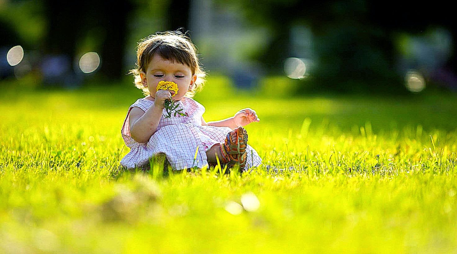 One year little girl sniffing flower summer park outdoors  HD