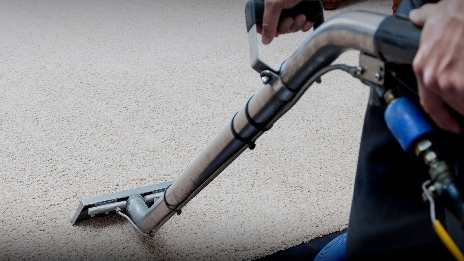Carpet Cleaning In San Diego Ca Clean Choices