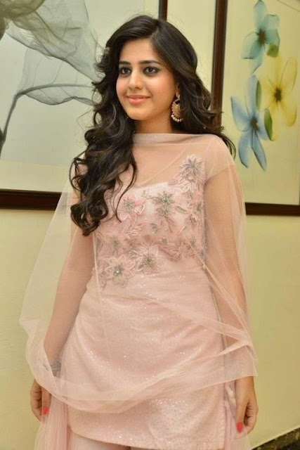 simran parneeja beautiful pics in traditional wear simran parneeja beautiful pics in traditional wear