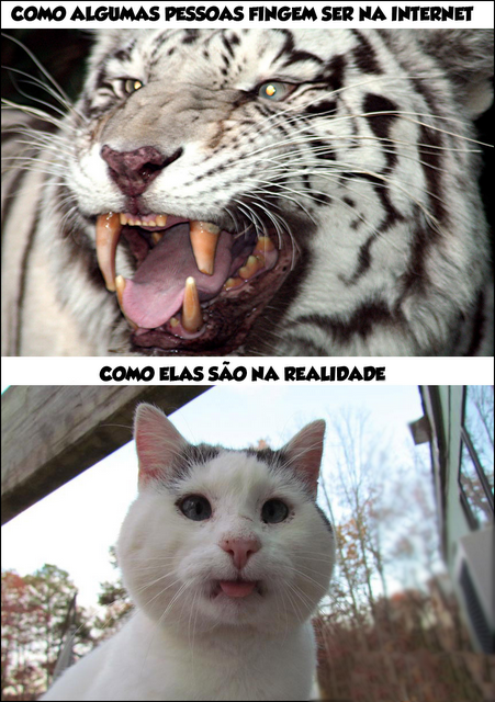 virtual-real-como-voce-e-na-internet-na-vida-real.png