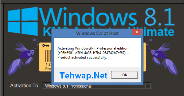 kms activator windows 10 pro 64 bit kickass