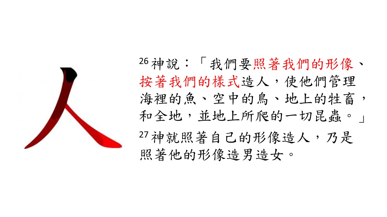 Sermons: 照神的形象，《福音系列一》創1-2 章
