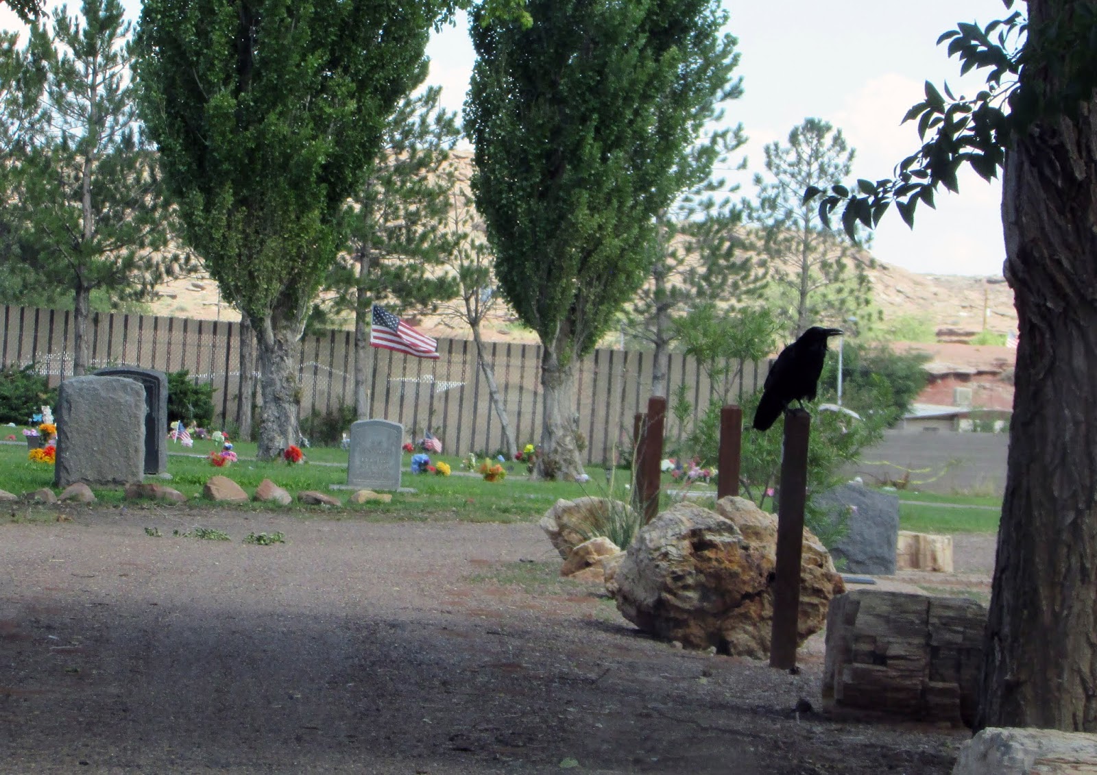 Photography Holbrook Cemetery