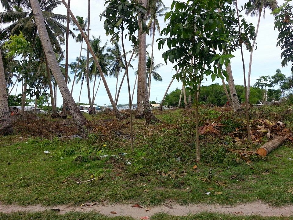 Bohol Island Lots & Beaches Panglao Island Bohol Beach Lot for Sale