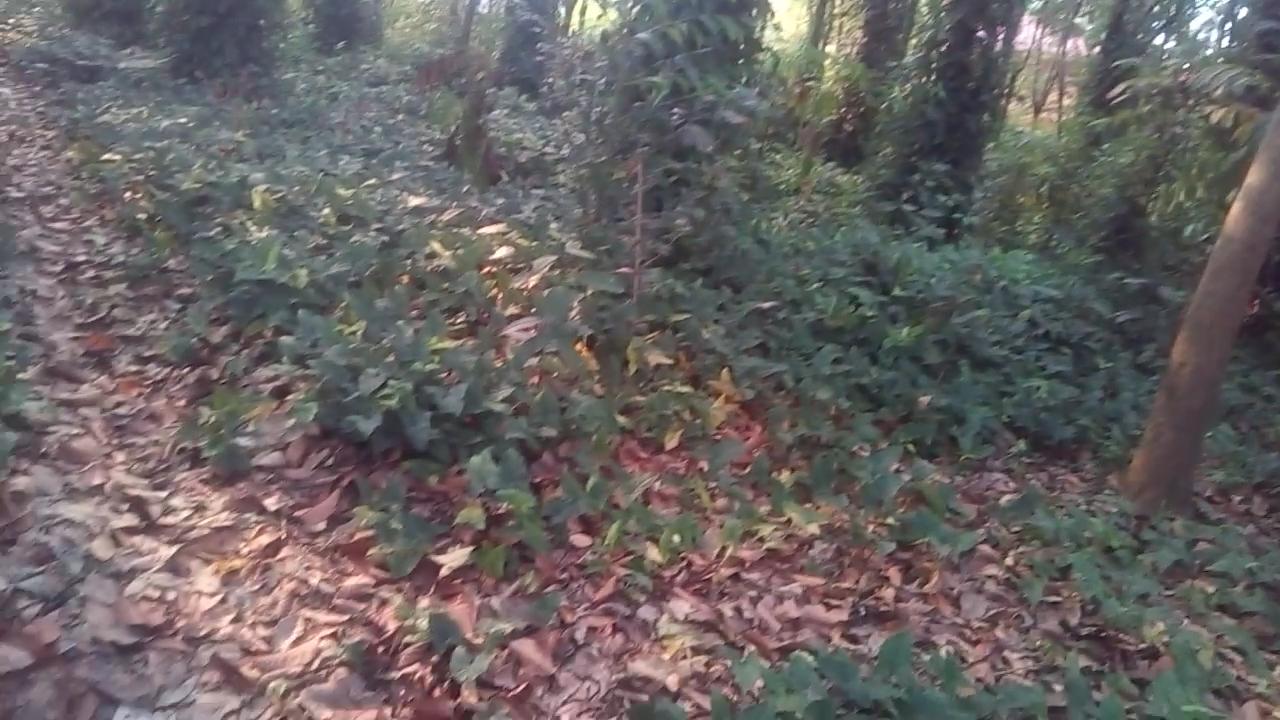 Commercial Land For Sale at Pandalam, Pathanamthitta, Kerala