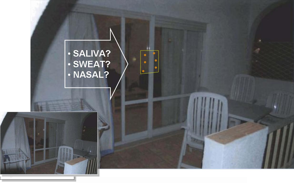 Madeleine Mccann Apartment 5a - Apartment Decorating Ideas