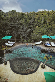 nandini jungle resort bali
