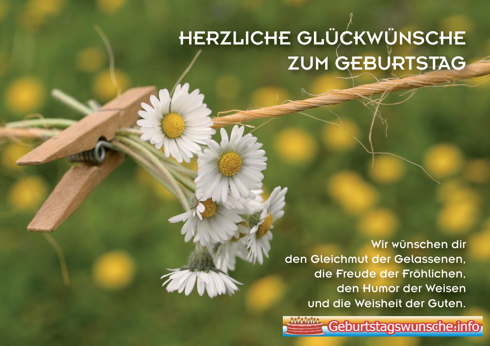 Herzliche Geburtstagswünsche - Wünsche zum Geburtstag
