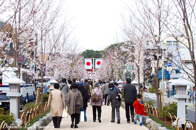Japón primavera 2016 - 18 días (con bajo presupuesto) - Blogs de Japon - Día 7 - Kamakura (13)
