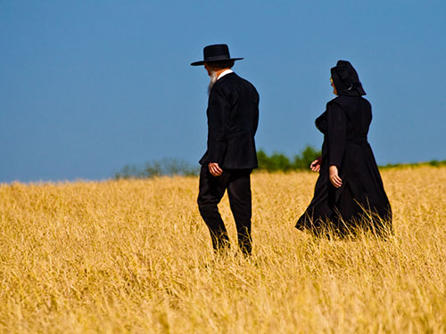 Dating and Courtship
