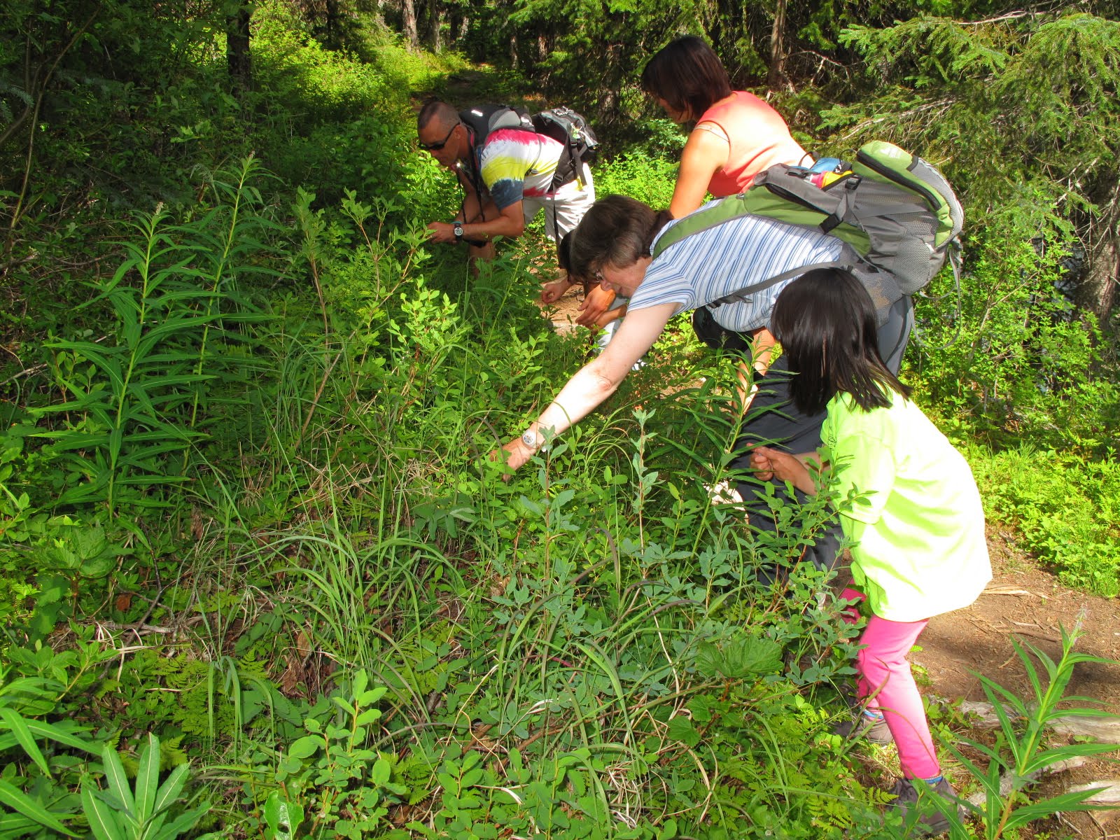 BASECAMP NIKISKIat Trail River Campground
