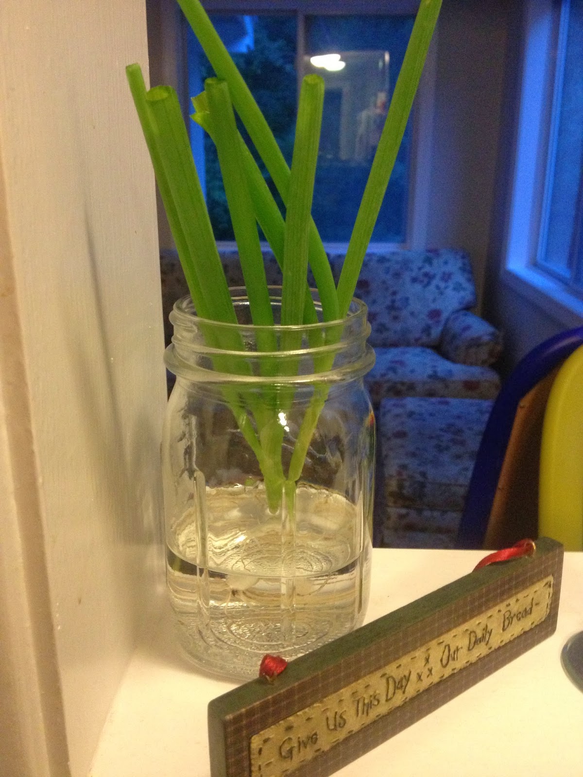 Take Time for Today What to do with all those green onions!