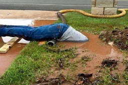 غرائب الشبكات الاجتماعية : الموت من اجل فلاش موب  !!!