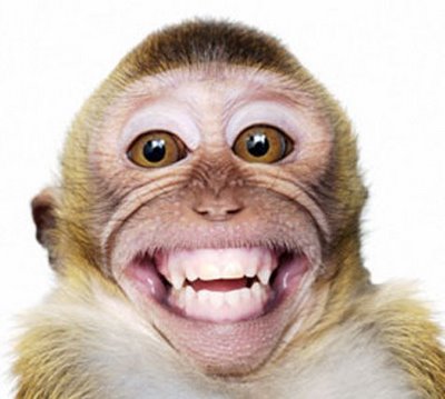 cute-baby-monkey-pictures-Smiling-monkey