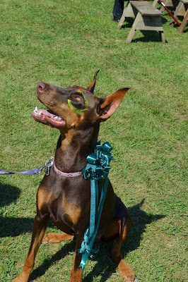 My Jenny at the Renaissance Festival in Shakopee Photo by Trisha Field
