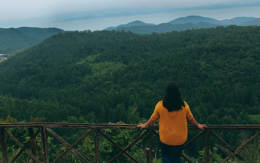 Boseong Green Tea Fields