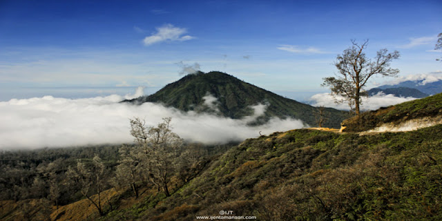Ijen Morning Tour | Cheap Price Ijen Crater Tour In The Morning Day Ijen Crater Morning Tour, visit to Ijen Crater Banyuwangi which we know is "Kawah Ijen", at the time morning day visit to ijen crater volcano east java, it’s good time to see the beauty of the lake, active volcano of Ijen crater and see direct traditional miners work every day in the ijen take the sulfur from crater, for by the tourist travel to ijen crater volcano, we offer tour services is ijen crater from bali, ijen crater from Surabaya, ijen crater from banyuwangi, beside in morning day the ijen itself has beauty of the lake, is also in the night day (ijen night tour), the ijen crater itself has uniqueness of blue fire ( blue flame), in Indonesia mention it (api biru ) which is because the outburst gas from active volcano Ijen sulphur containing methane gas, so it produces blue fire, and the occurrence of blue fire ijen only at night day (ijen blue fire tour). Ijen tour price in morning day at the time normaly day is : Rp. 525.000/person. At the time is weekend the price is differend, ijen crater, ijen crater tours, ijen Tour Package, kawah ijen tours, ijen tour and travel banyuwangi, ijen volcano tour, ijen volcano Indonesia, ijen volcano from banyuwangi, ijen travel, kawah ijen banyuwangi, kawah ijen tour, kawah ijen trip, ijen crater tour, ijen crater blue fire, ijen crater guesthouse, ijen crater tour from banyuwangi, ijen crater tour bali, ijen crater tour price, ijen crater night tour, kawah ijen night, ijen blue fire, bluefire ijen crater, blue fire ijen tour , blue fire kawah ijen, ijen blue flame tour, blue flame gunung ijen, blue flame sulphur ijen, blue flame gunung ijen, blue flame kawah ijen volcano.