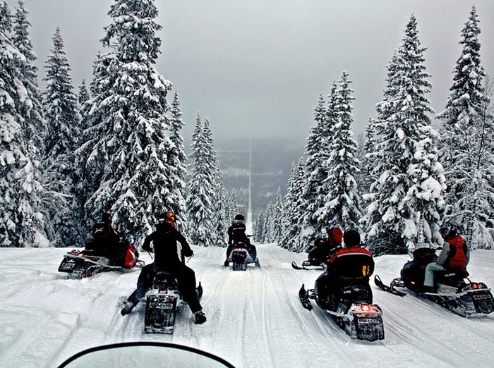 These+22+Photos+Were+Taken+At+The+Border