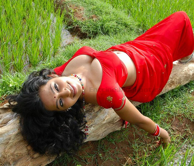 Teertha Hot Saree Stills, Actress Teertha Hot Pics Photos Images Stills Gal...