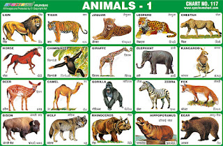 Animals chart contains 20 images of wild and domestic animals