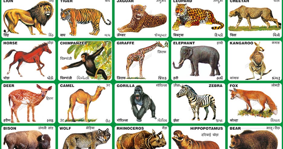 Spectrum Educational Charts: Chart 117 - Animals 1