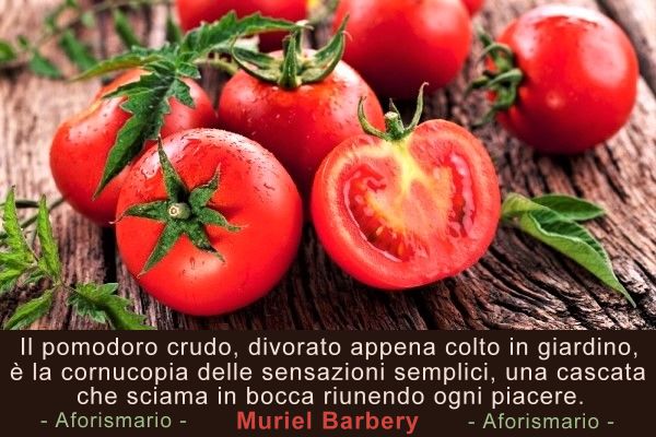 Aforismario Aforismi Frasi E Proverbi Sui Pomodori