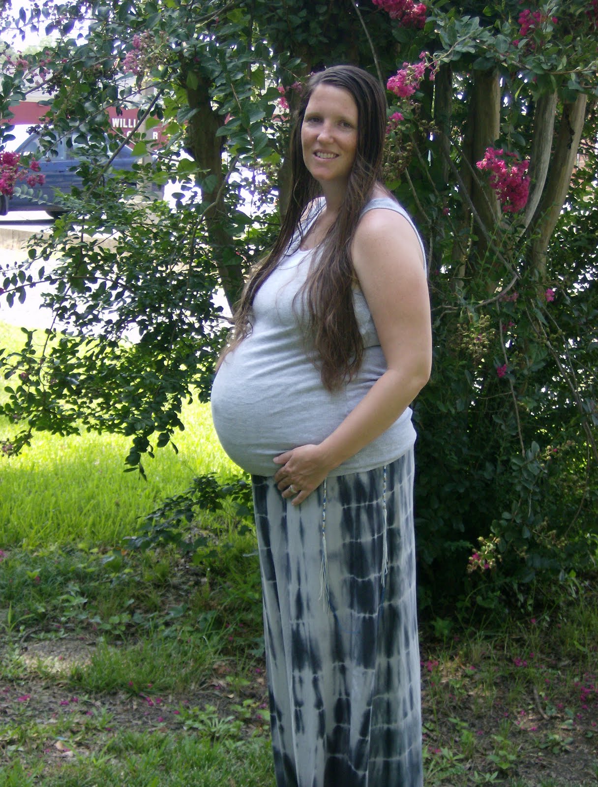 At the Watering Hole Herbs for Use in Pregnancy and Labor