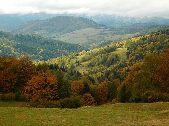 Widok na dolinę Wierchomlanki. Widok na dolinę Wierchomlanki.