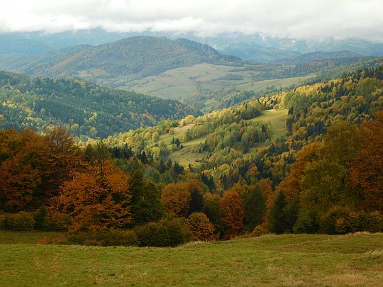 Widok na dolinę Wierchomlanki.