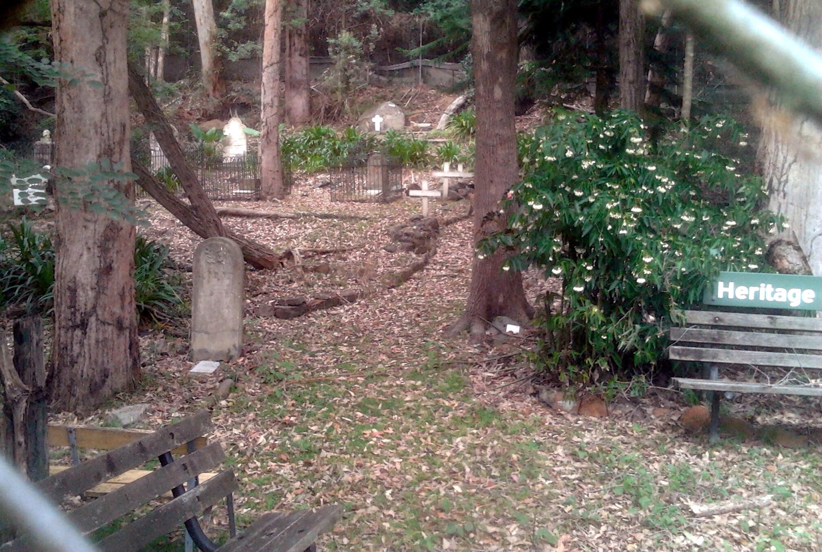 Sydney Exponential Hornsby's secret cemetery